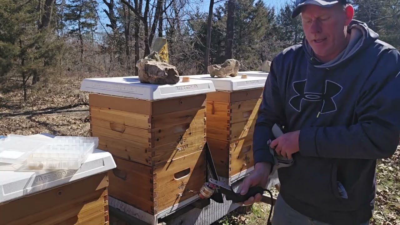 Treating my honey bees for Varroa  Mites.
