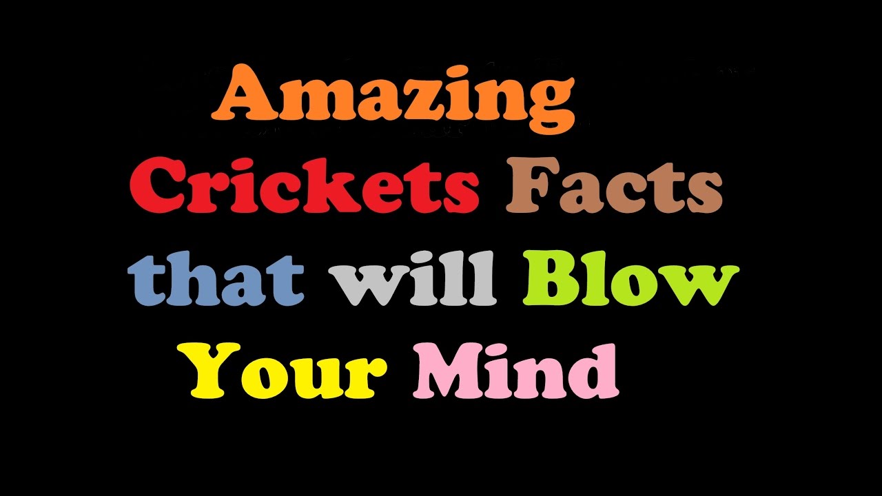 Amazing Crickets Facts that will Blow Your Mind Video (Pt 10 must watch) YouTube