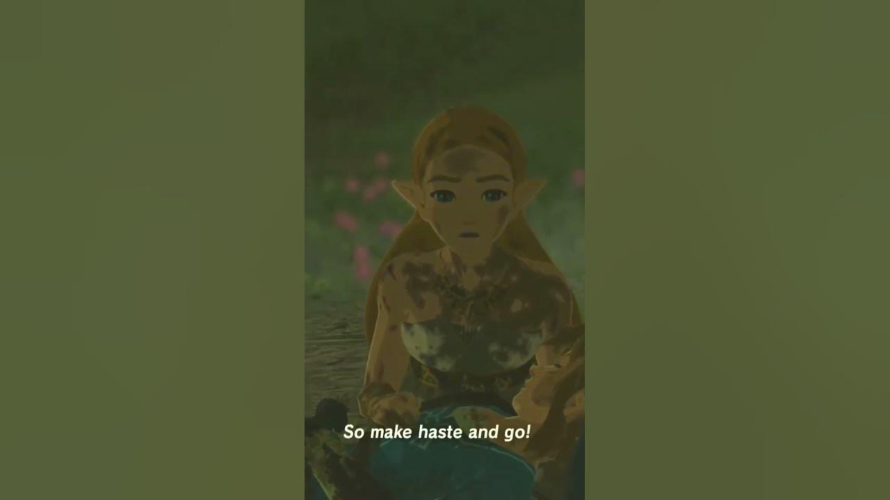The best BOTW Memory (Part 3) - YouTube