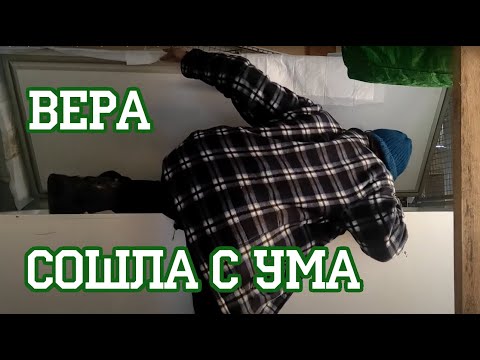 Video: Grozdje doma hranimo do novega leta