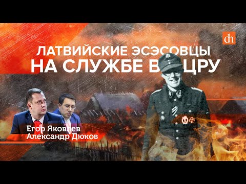 Видео: Мраморен Хрушчов: описание и условия на местообитание