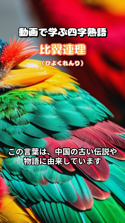 比翼連理#shorts  #四字熟語 #雑学 #ことわざ