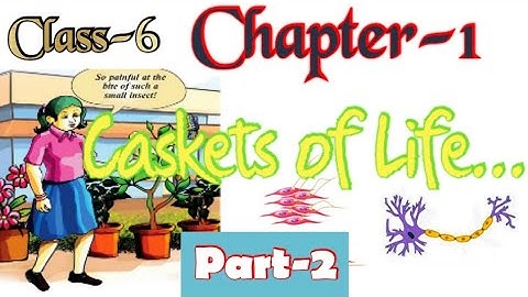 Class-6 Chapter-1/Caskets of Life/Part-2/Basic Science/SCERT/State Syllabus/KITE Victers STD 6