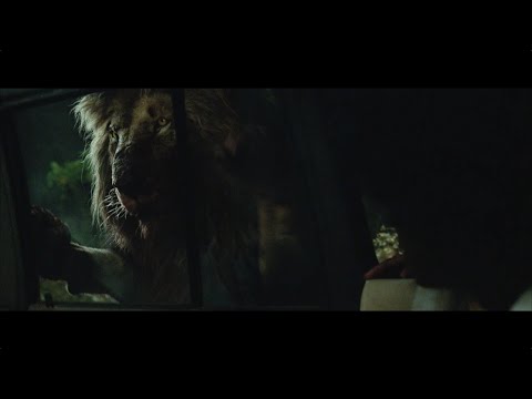 Bestia - Nunca has visto nada igual Bestia - Nunca has visto nada igual