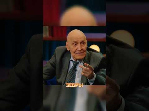 спор про зебру #шоу #кстати #азаматмусагалиев #дорохов #Харламов #рекомендации #юмор