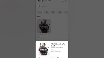 The Witcher 3 Wild Hunt on Skyline Edge v44 Realme GT Master Edition #skylineedge44