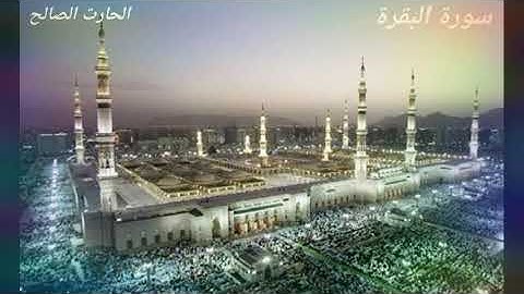 " ليس عليك هداهم " تلاوة مميزة من صلاة الفجر للقارئ الحارث الصالح وفقه الله