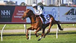 2026 NEWCASTLE GOLD CUP (G3) | AETHELWULF romped home and target the Melbourne Cup!