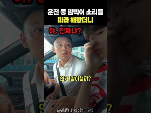 운전 중 깜빡이 소리를 따라 해봤더니 thumbnail