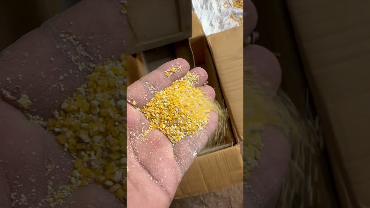 Multipurpose makka daliya making machine 📲 +91 90985 87992