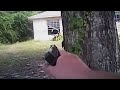 Archive: Deputys Pinned Down During Shootout With Barricaded Suspect. Volusia, FL. July 24, 2016.