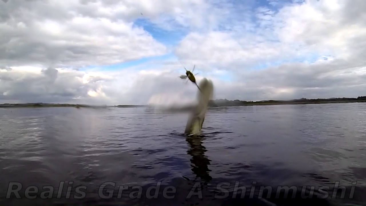 FIshing with DUO #46: Pike Fishing with Realis Shinmushi