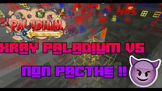 NOUVEAU XRAY INDÉTECTABLE LEGIT SUR PALADIUM V5.6 TEXTURE PACK XRAY PALLADIUM