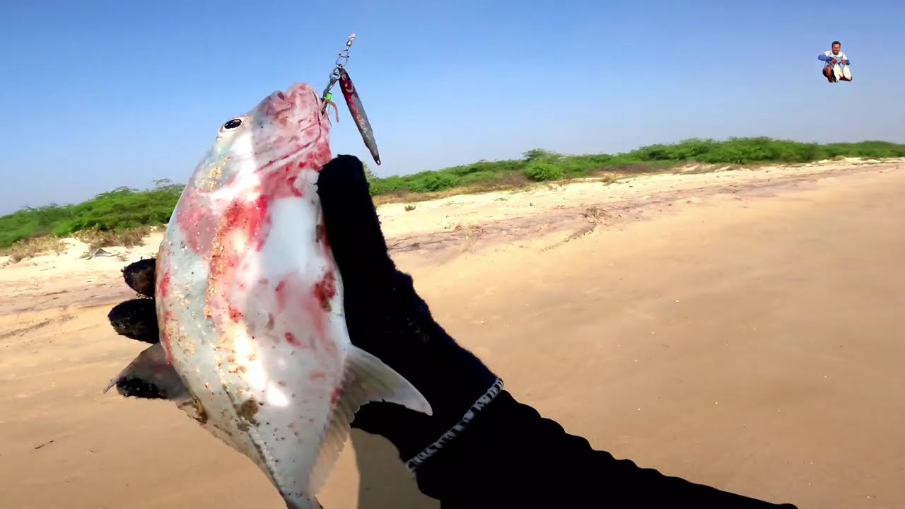 🎣Back to Back catches from the Beach🎣