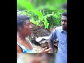 #viral #news #wilmix prod#viralshort #amour#hulour#plimen