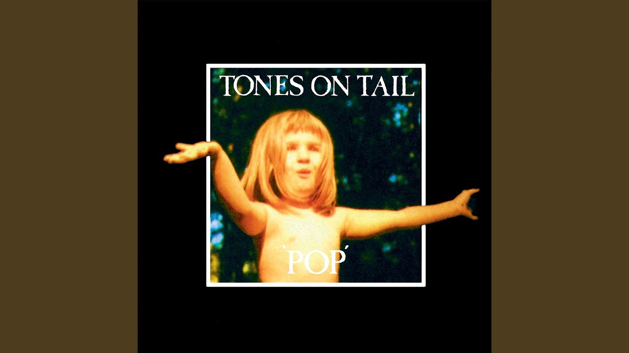 Watch Lions on YouTube Watch Lions on YouTube