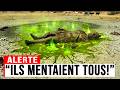 Quelque chose de TERRIFIANT remonte du fond du Lake Okeechobee — les images choquent Internet