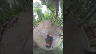 Download Lagu Fourtwnty - Kita Pasti Tua MP3