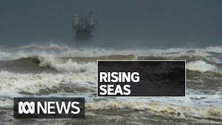 Up to 300 million people could be affected by rising sea levels in next 30 years | ABC News