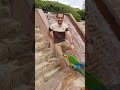 حاتم في أم الدنيا