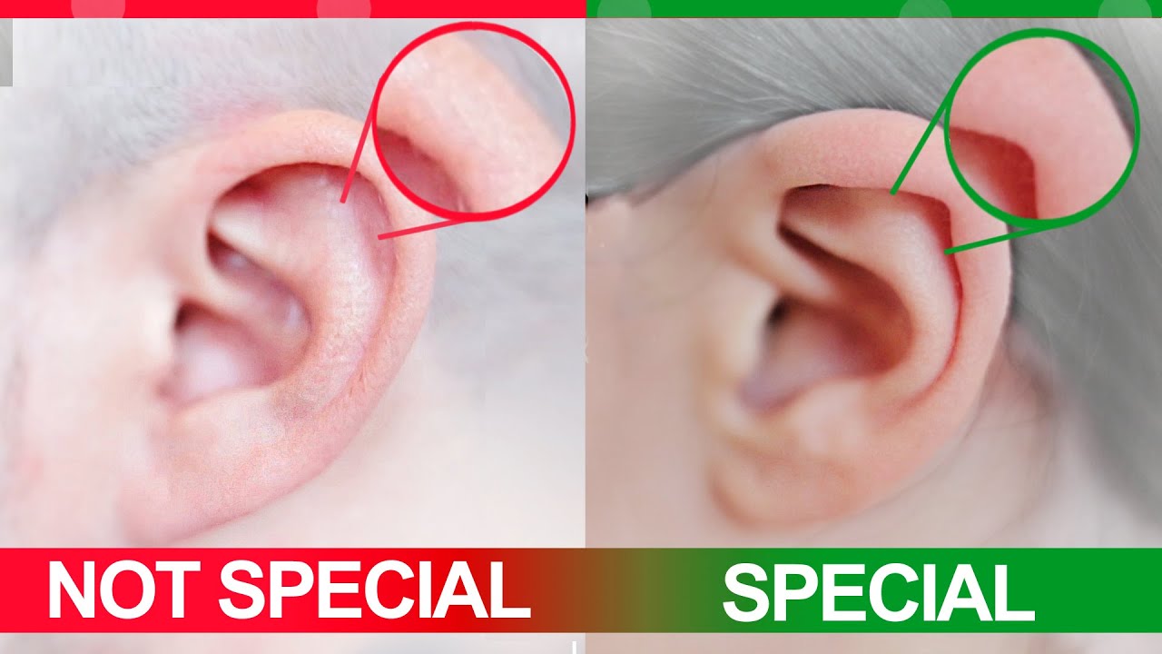 How Special Is Your Body? YouTube