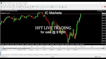 Turning $1,000 into $100,000 with a Live HFT Bot | Real-Time Trading on US30(DAY8)