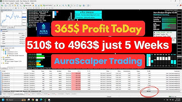 365.49$ USD Profit Trading Today With AuraScalper Engine V2.06 | #Best Forex Robot 2025 With Low DD.
