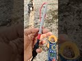 Longi Himo 7 580 Watt Solar Panel Output Test 🌞🌏 #solarenergy #solarpower #solarsystem #longisolar