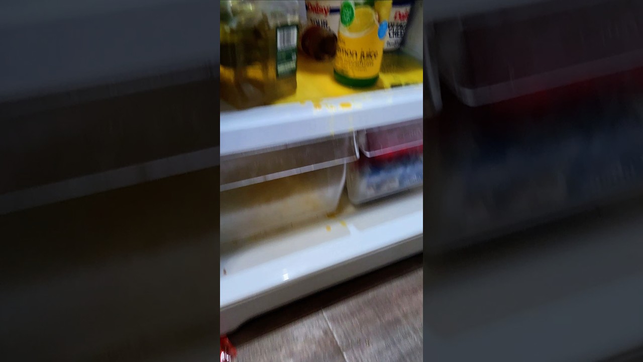 My morning. #fridge #food #mess #shorts