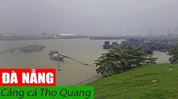 NÓNG Toàn Cảnh CẢNG CÁ THỌ QUANG Trong Mùa Mưa Bão ở Thành Phố Đà Nẵng