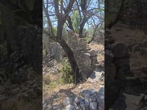 Kefalonia Exploring Old