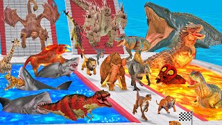 Falling Down The Stairs Into The Shark Pool or Lava Path Dinosaurs Vs Wild Animals Vs Hydra Vs Drago