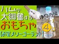 ハムスター大興奮の【おもちゃ】お宝メリー《作り方編》