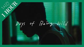 [Playlist] (1 Hour) Latin Jazz Songs in 'Days of Being Wild’