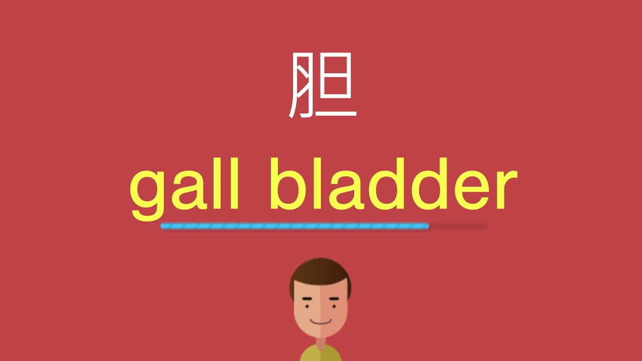 胆的英文 Youtube