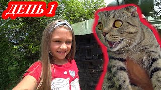 Vlog Каникулы в деревне кошка в шоке 1 серия