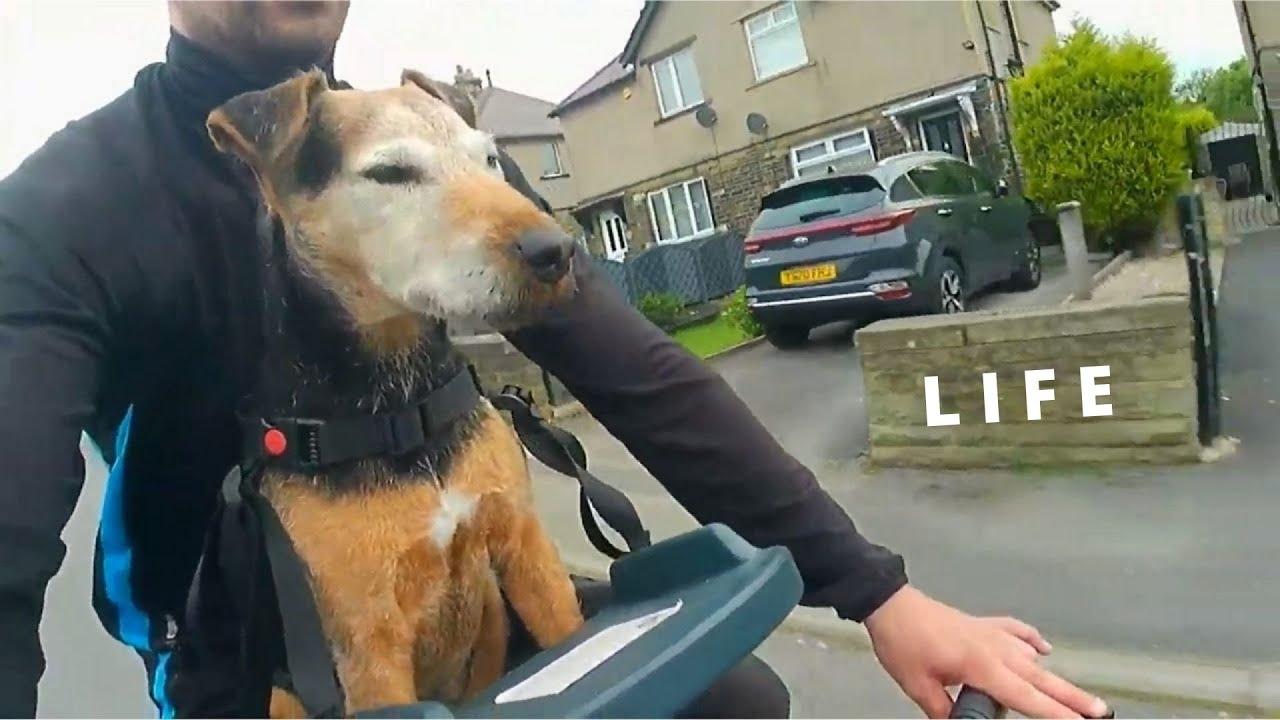 The Buddy Rider - YouTube