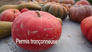 Centre Competence Forem Secteurs Verts