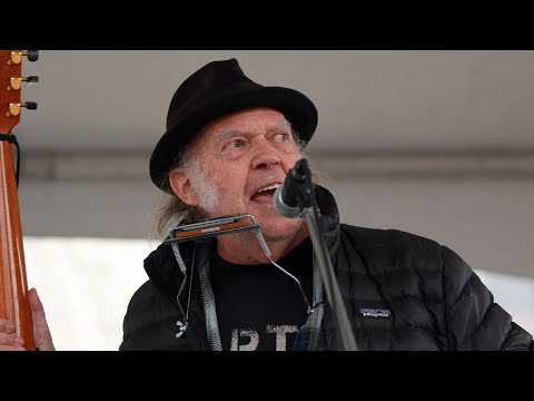 Neil Young joins protest against logging old-growth forests on Vancouver Island