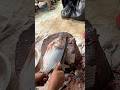 Tilapia Fish Cutting 🔥 Perfect Precision Skills #shorts