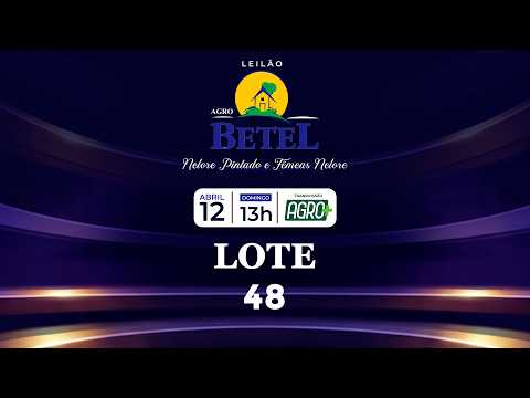 LOTE 48