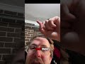 Ray White strikes again