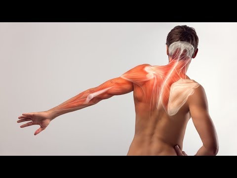 Video: Come funzionano i muscoli in modo antagonistico?