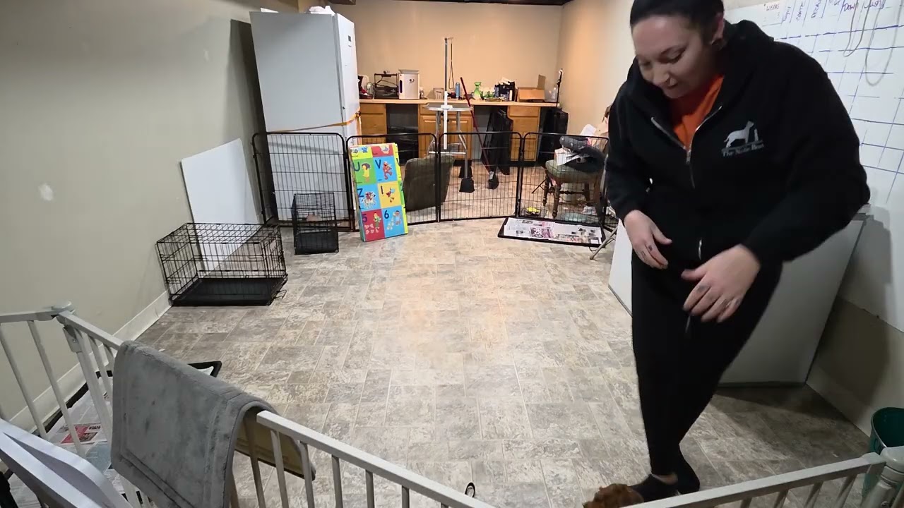 Premier Pup Kobe Wk 3 Recap