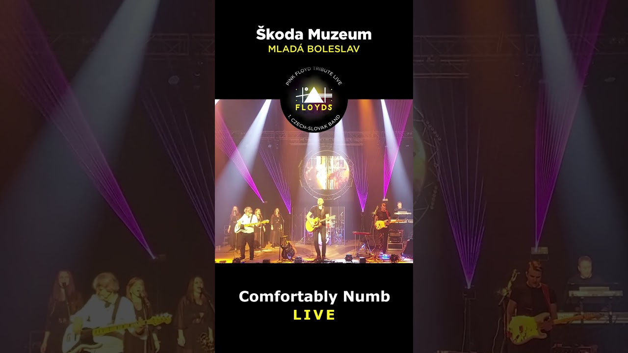 Floyds CZ/SK - Comfortably Numb 🎸 | Live