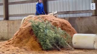 Rey-Rey - Total packer - Flat work - April 2023