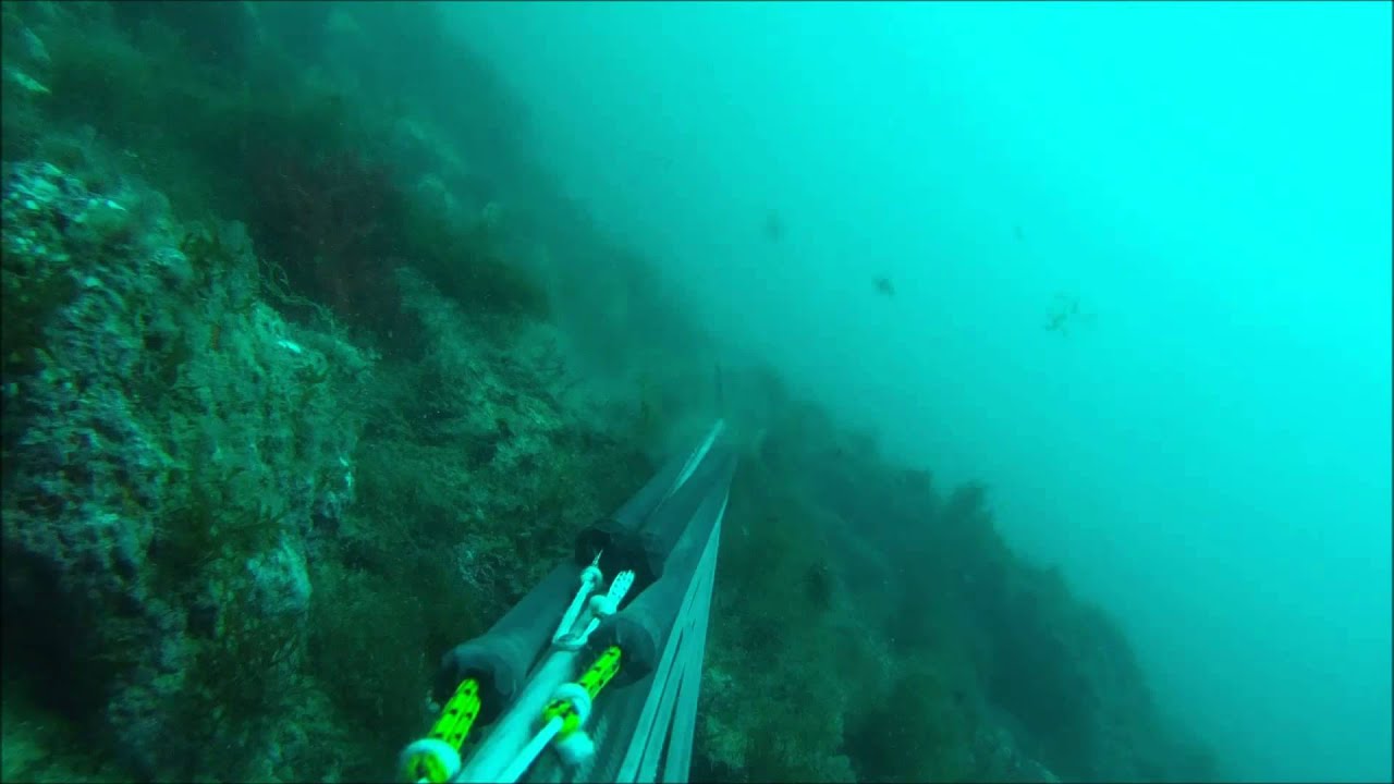 pesca submarina en sancti petri