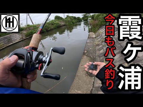 Bass fishing at Lake Kasumigaura! Suzuson Cup practice at the
