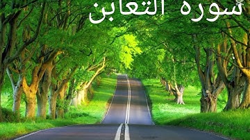 سورة التغابن بصوت الشيخ فارس عباد تلاوه رائعه جدا ❤️🎧