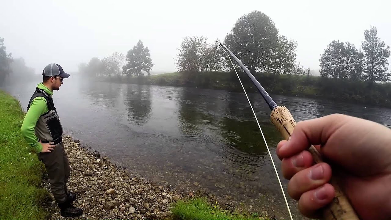 Seatrout In Jølstra